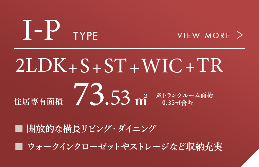 I-P typoe